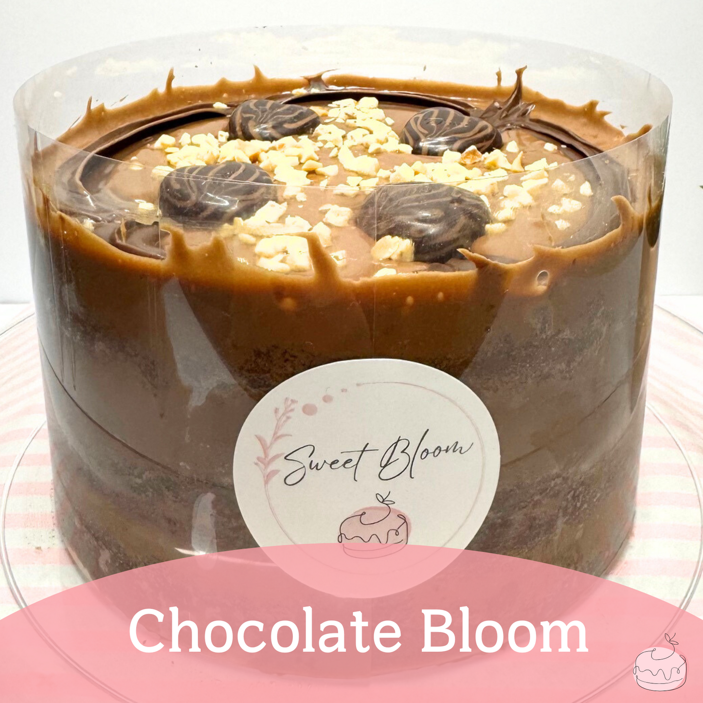 Chocolate Bloom