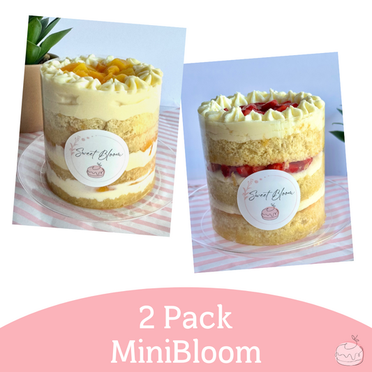 2Pack Mini Bloom